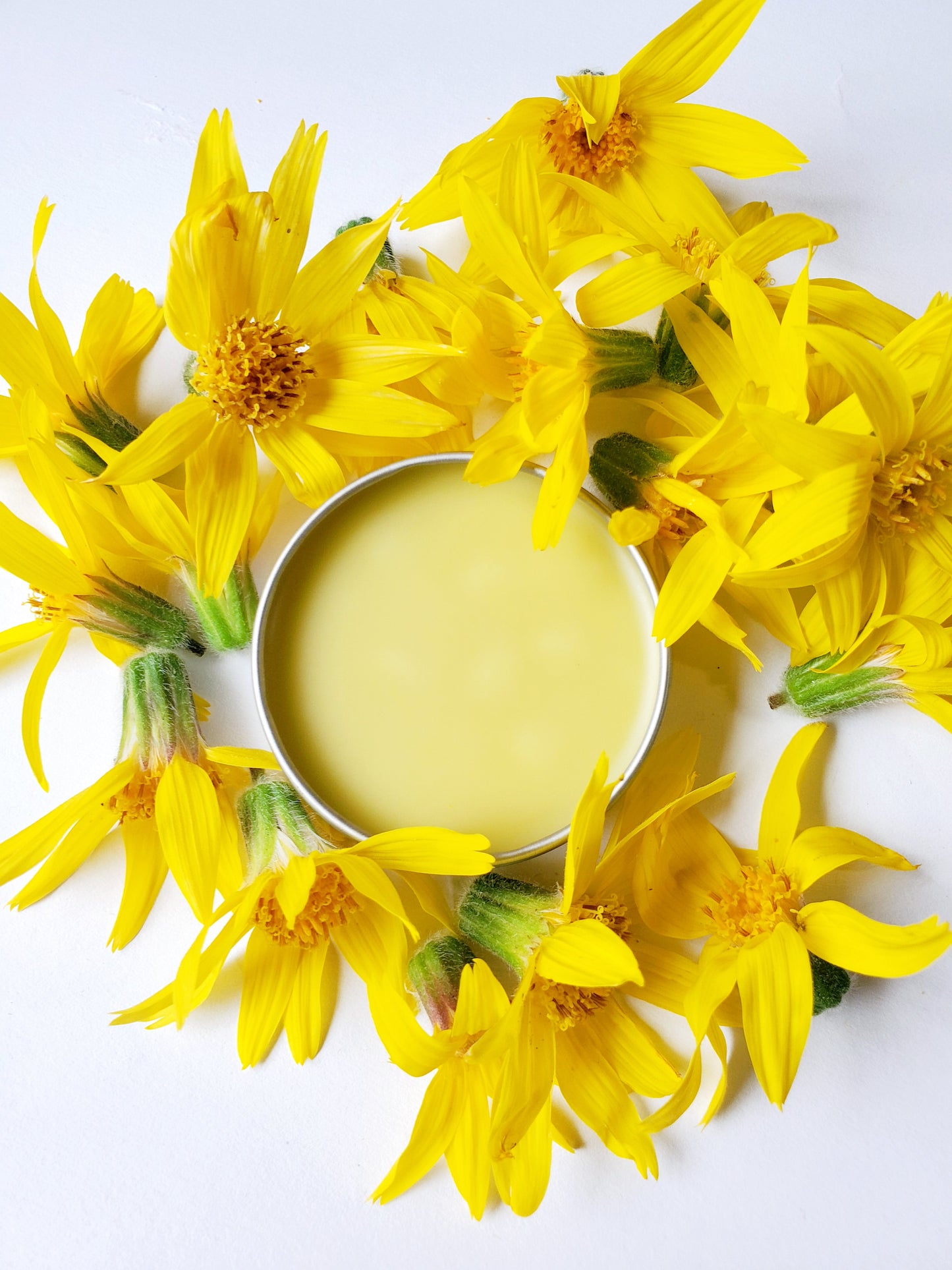 Haven - Wild Harvested Arnica Balm