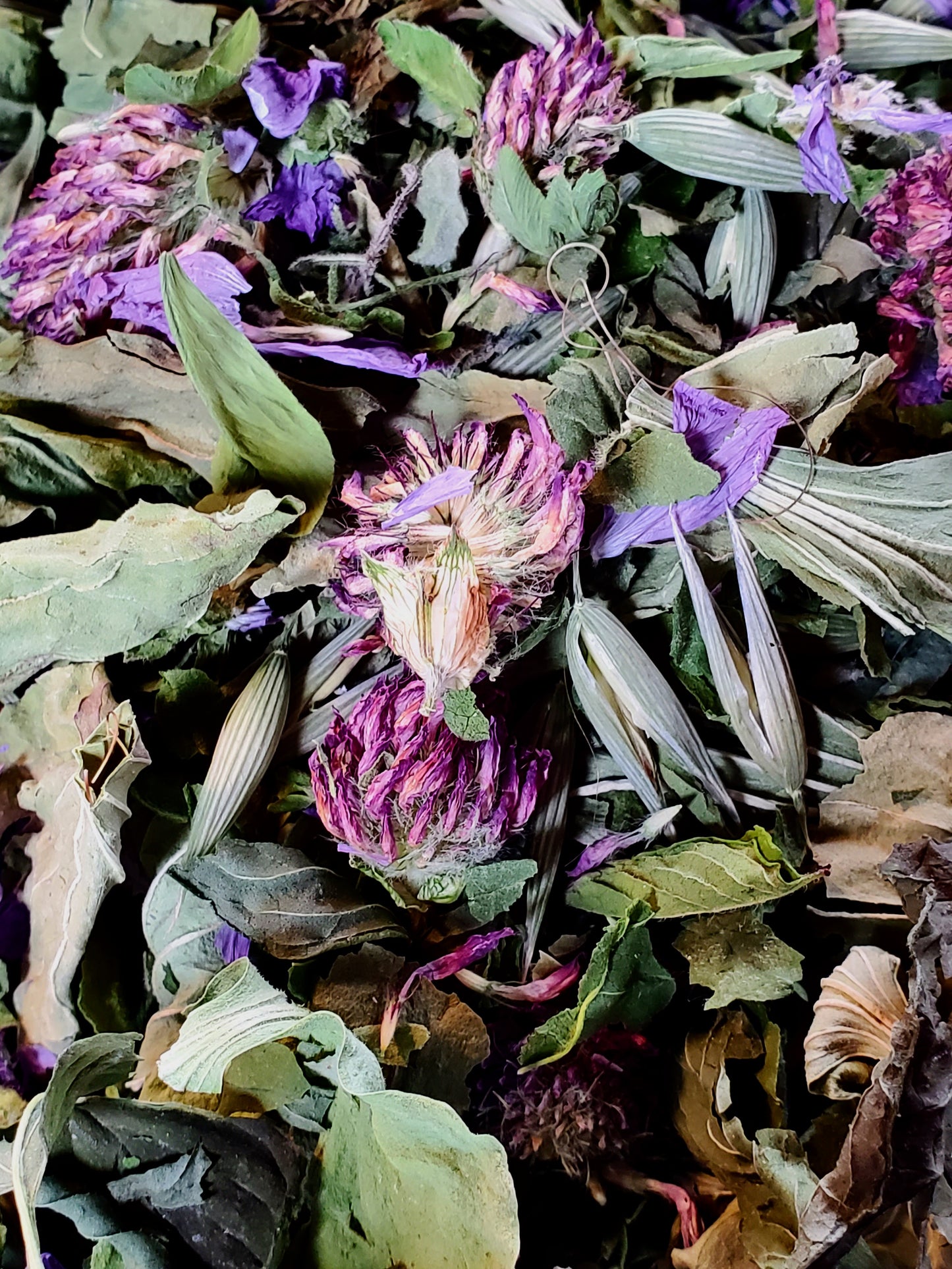 Close-up of dried herbs and flowers with a focus on purple and green colors.