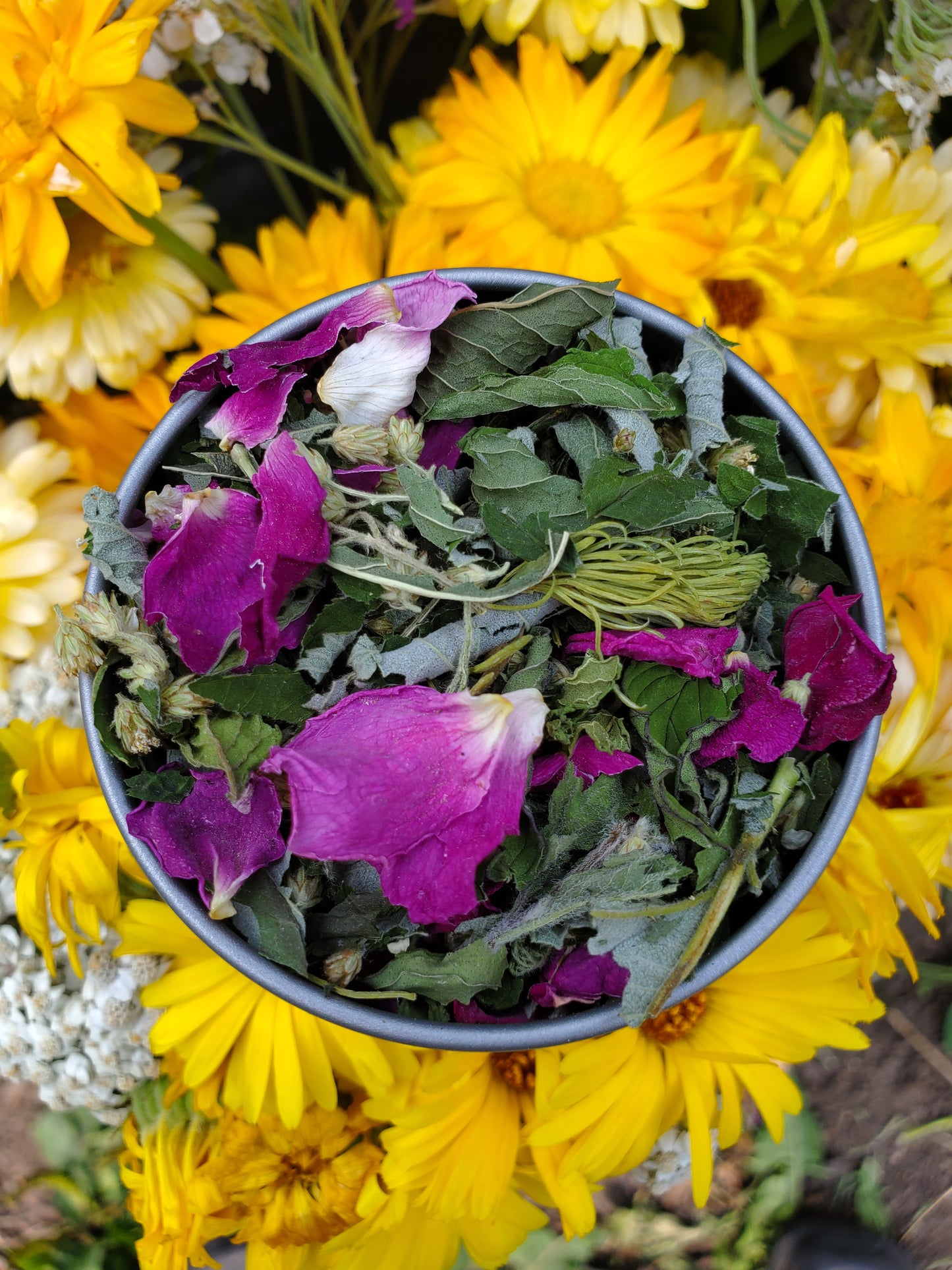 herbal tea in a tin, flowers in background