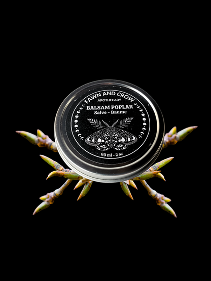 Balsam Poplar Salve