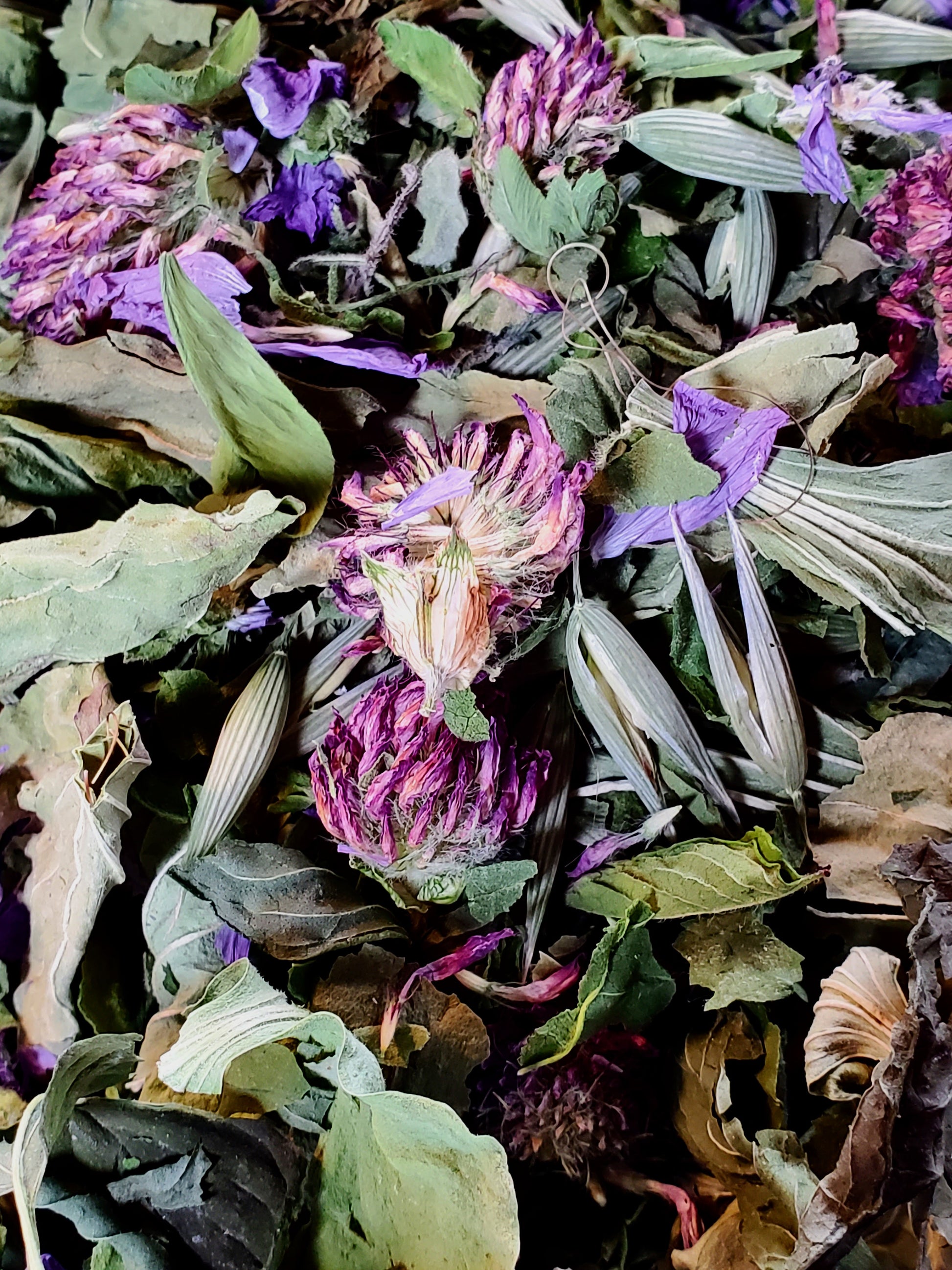 Close-up of dried herbs and flowers with a focus on purple and green colors.