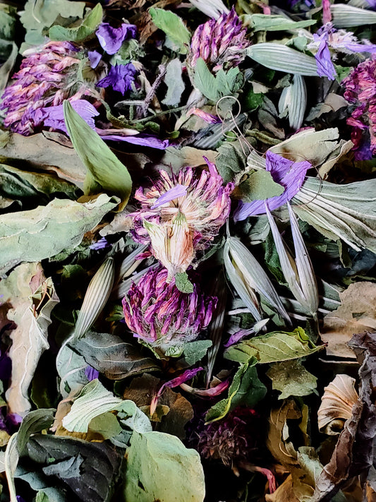 Close-up of dried herbs and flowers with a focus on purple and green colors.
