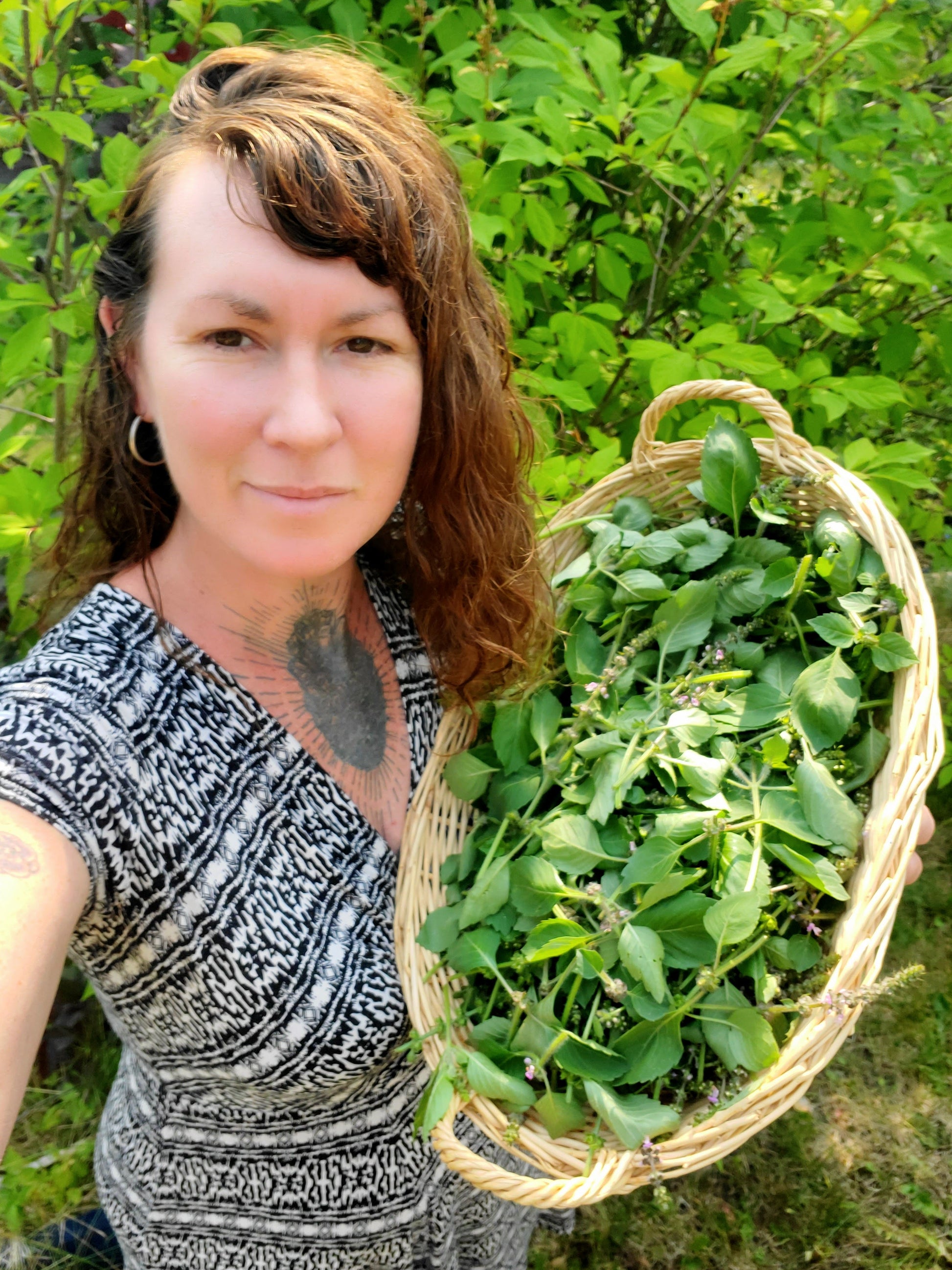 woman holding a basket of Tulsi basil plants with green bushes in background