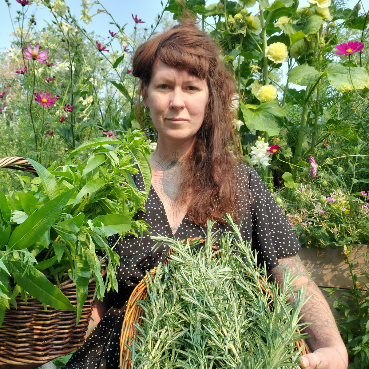 A woman in a black and white polka dot top holds a wicker basket filled with fresh green rosemary in a lush garden with colorful flowers.