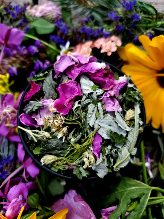 North Mountains Tea - Immune Health and Vitality