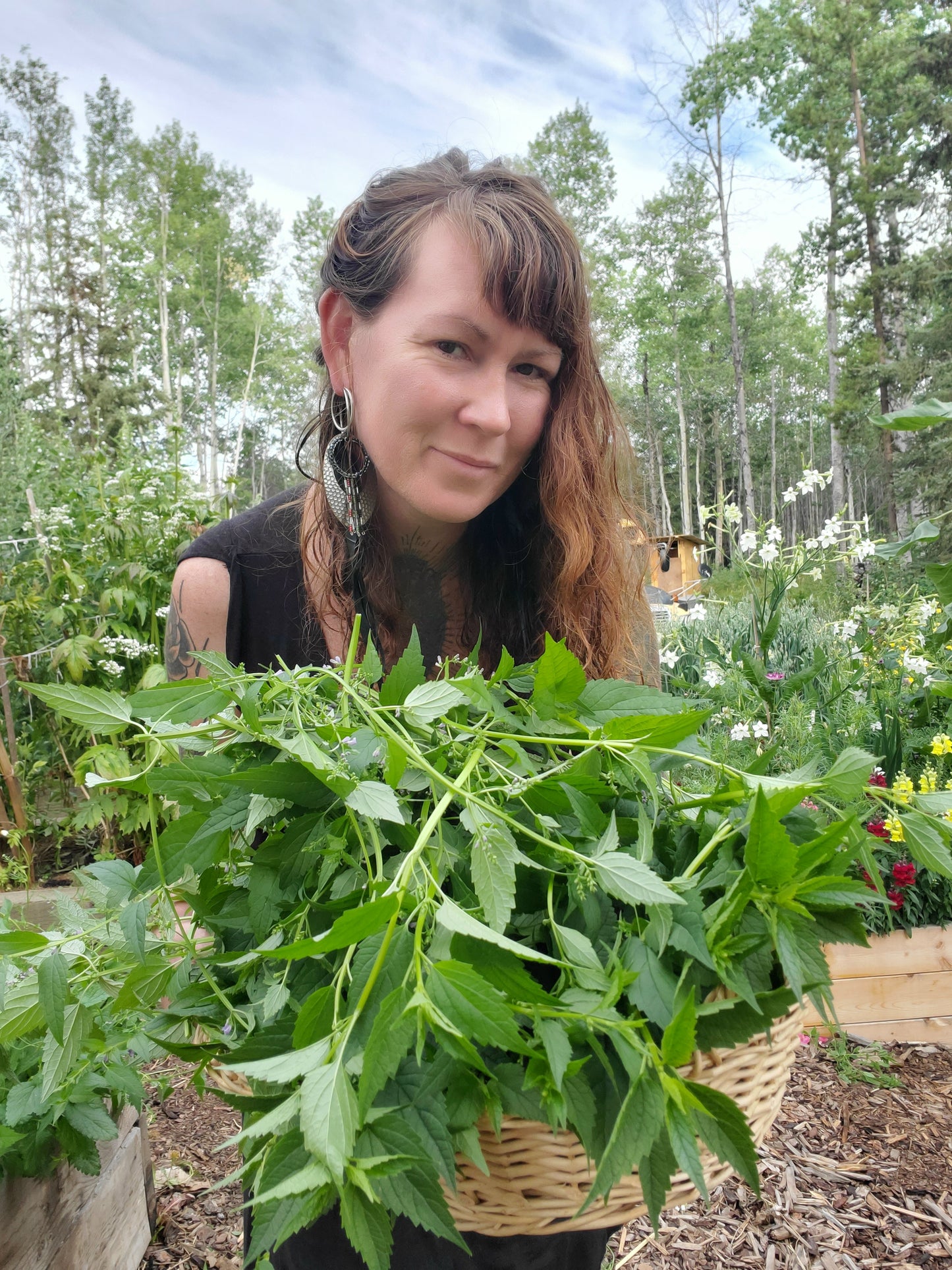 Owner of Fawn and Crow Apothecary holding a large basket of Skullcap 