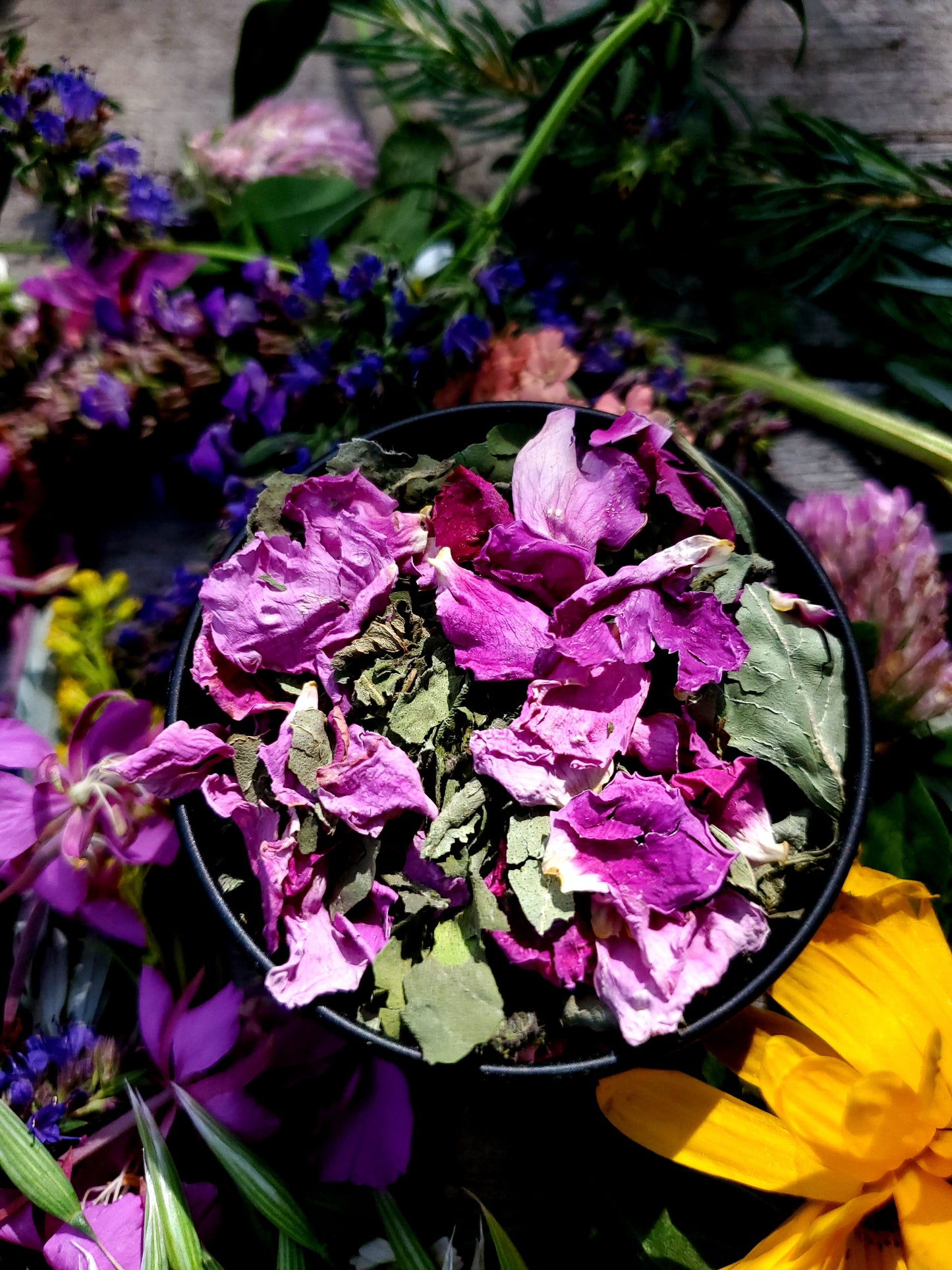 Dried flowers and leaves in a black tin surrounded by colorful flowers.