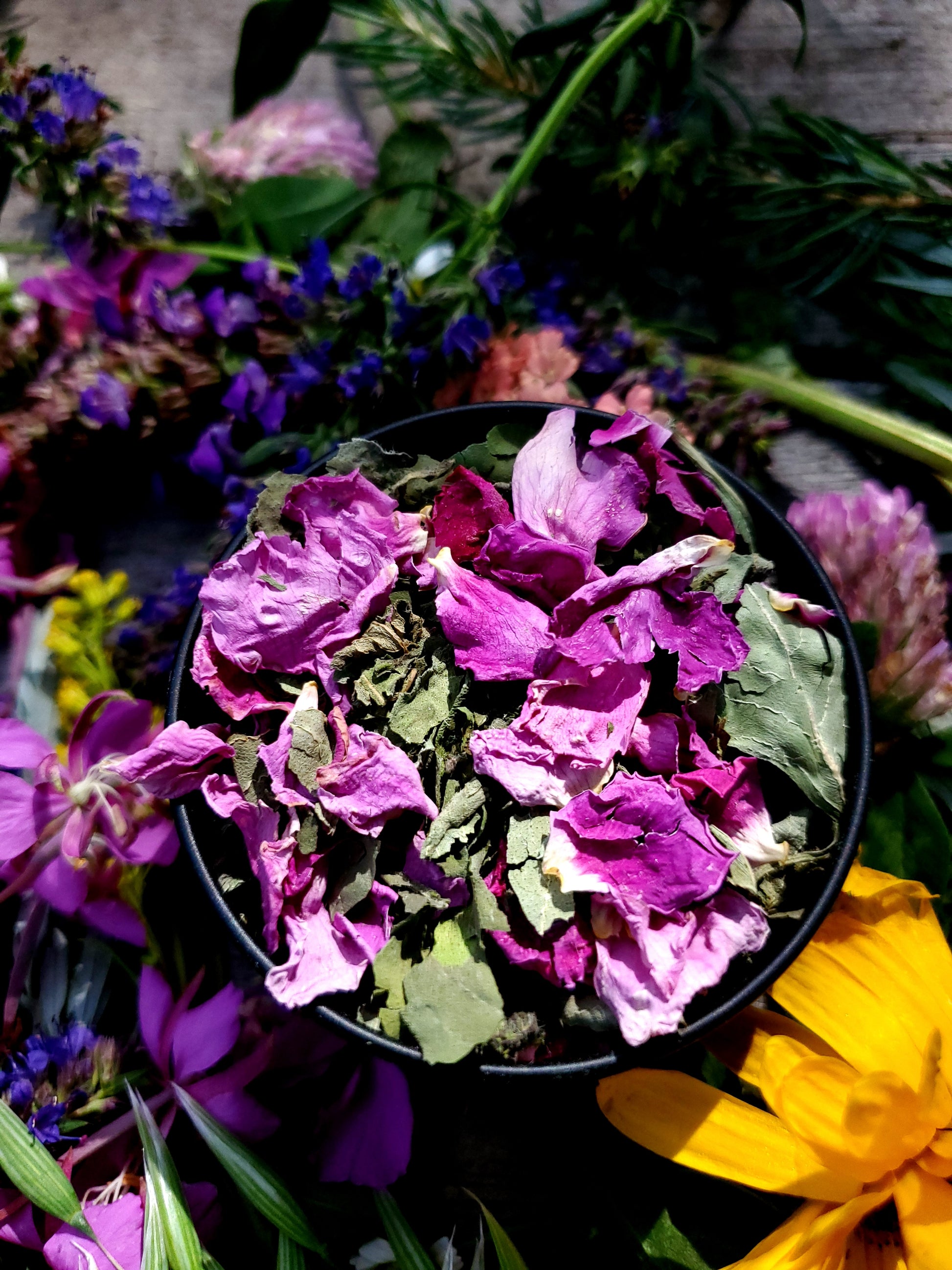 Dried flowers and leaves in a black tin surrounded by colorful flowers.
